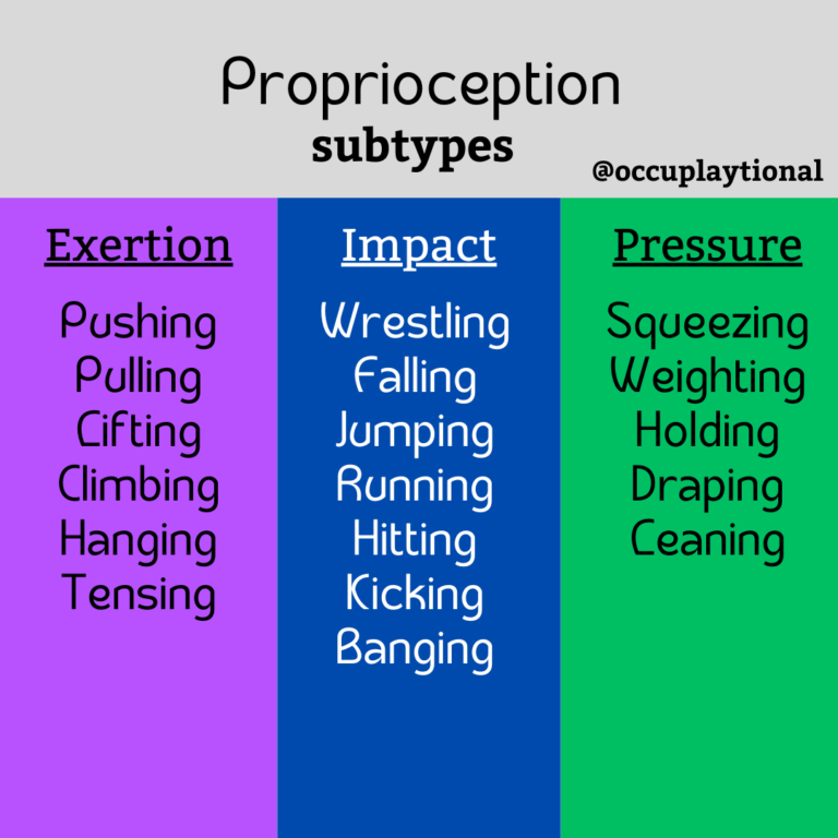 A Proprioception Primer - The Occuplaytional Therapist